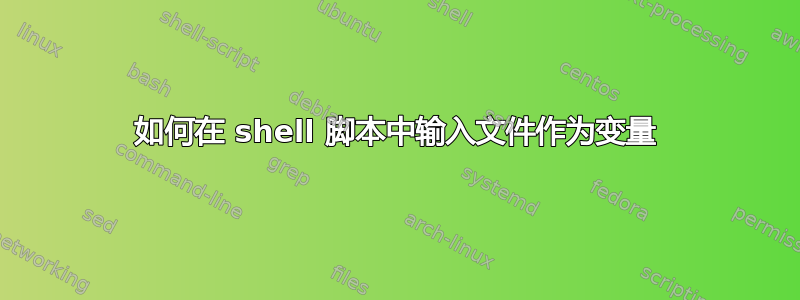 如何在 shell 脚本中输入文件作为变量