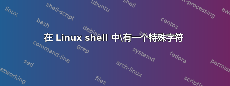 在 Linux shell 中\有一个特殊字符