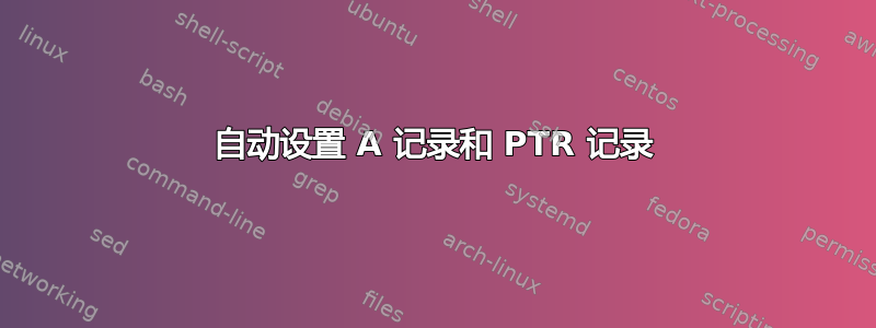 自动设置 A 记录和 PTR 记录