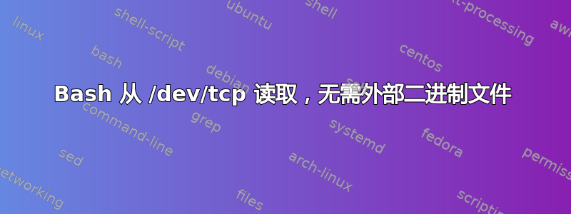 Bash 从 /dev/tcp 读取，无需外部二进制文件