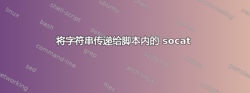 将字符串传递给脚本内的 socat