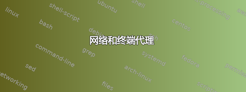 网络和终端代理