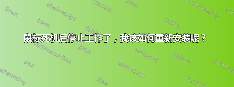 鼠标死机后停止工作了，我该如何重新安装呢？