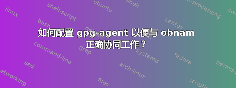 如何配置 gpg-agent 以便与 obnam 正确协同工作？