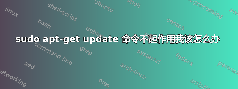 sudo apt-get update 命令不起作用我该怎么办