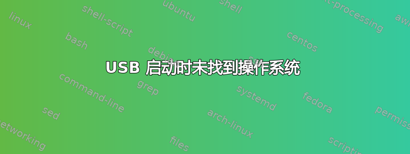 USB 启动时未找到操作系统