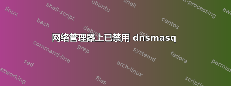 网络管理器上已禁用 dnsmasq