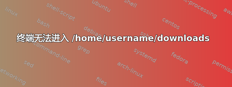 终端无法进入 /home/username/downloads 