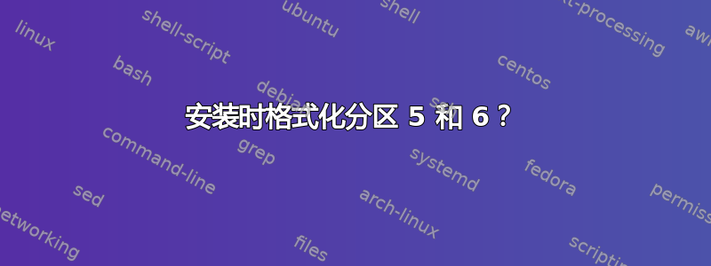 安装时格式化分区 5 和 6？