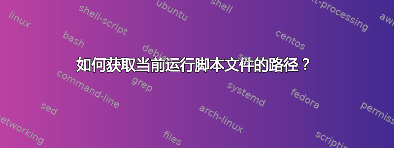 如何获取当前运行脚本文件的路径？