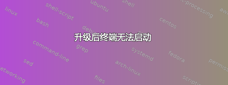 升级后终端无法启动