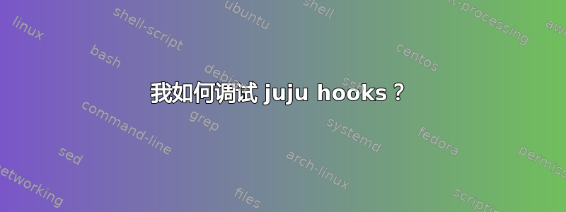 我如何调试 juju hooks？