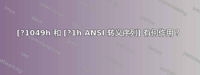 [?1049h 和 [?1h ANSI 转义序列] 有何作用？