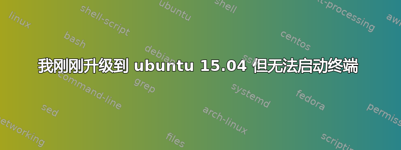 我刚刚升级到 ubuntu 15.04 但无法启动终端