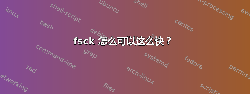 fsck 怎么可以这么快？