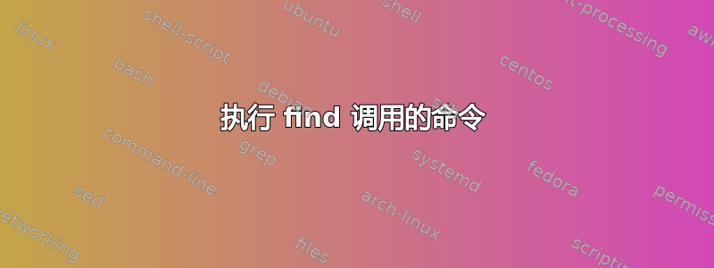 执行 find 调用的命令