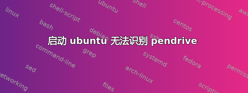 启动 ubuntu 无法识别 pendrive