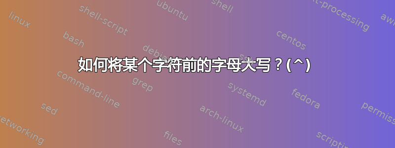 如何将某个字符前的字母大写？(^)