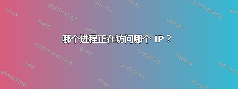 哪个进程正在访问哪个 IP？