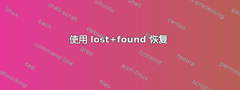 使用 lost+found 恢复