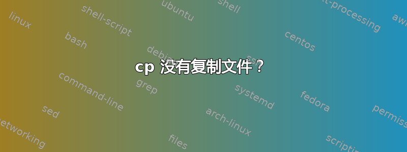 cp 没有复制文件？