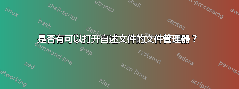 是否有可以打开自述文件的文件管理器？