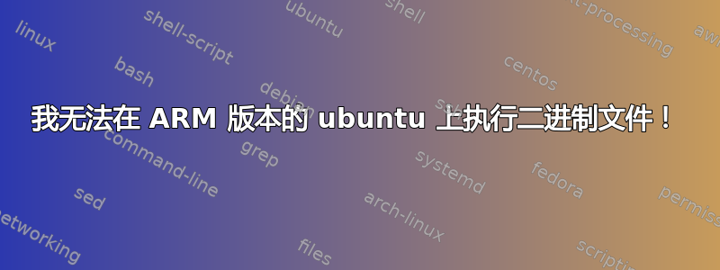 我无法在 ARM 版本的 ubuntu 上执行二进制文件！