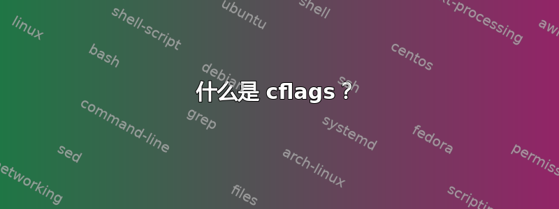 什么是 cflags？