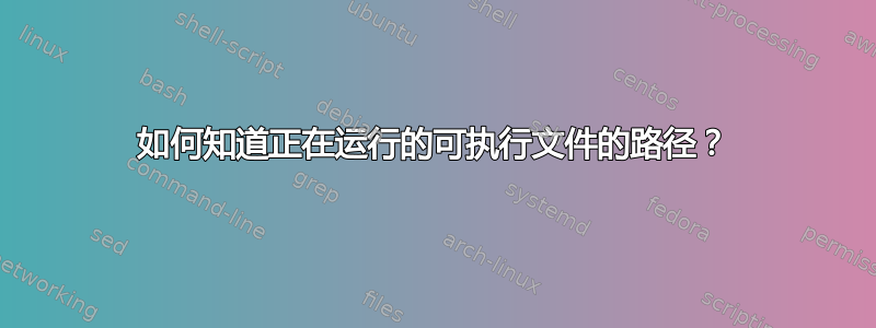 如何知道正在运行的可执行文件的路径？