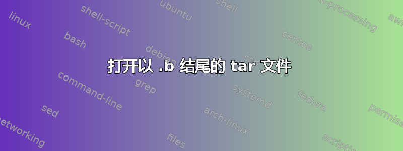 打开以 .b 结尾的 tar 文件