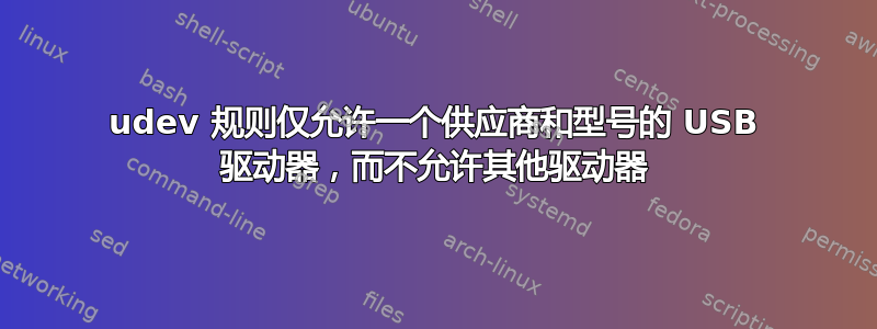 udev 规则仅允许一个供应商和型号的 USB 驱动器，而不允许其他驱动器