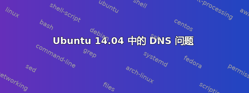 Ubuntu 14.04 中的 DNS 问题