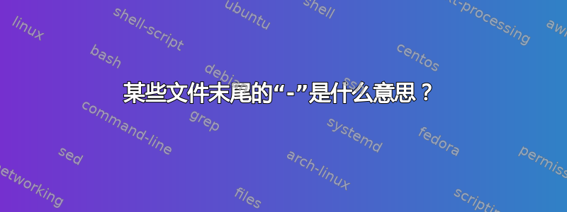 某些文件末尾的“-”是什么意思？