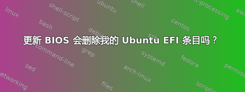 更新 BIOS 会删除我的 Ubuntu EFI 条目吗？