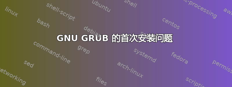 GNU GRUB 的首次安装问题