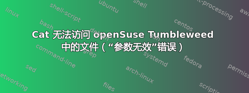 Cat 无法访问 openSuse Tumbleweed 中的文件（“参数无效”错误）