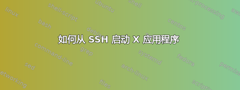 如何从 SSH 启动 X 应用程序