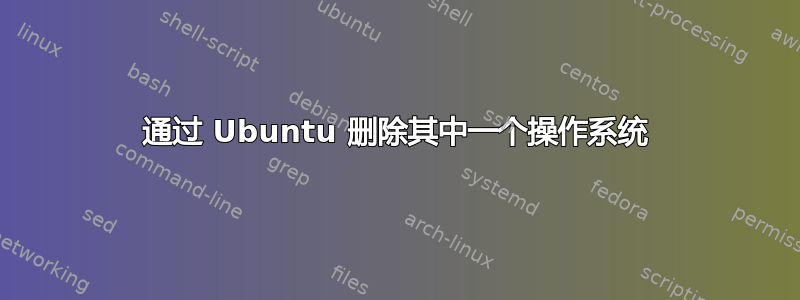 通过 Ubuntu 删除其中一个操作系统