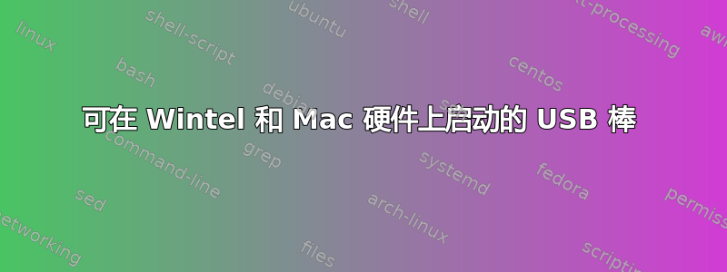 可在 Wintel 和 Mac 硬件上启动的 USB 棒