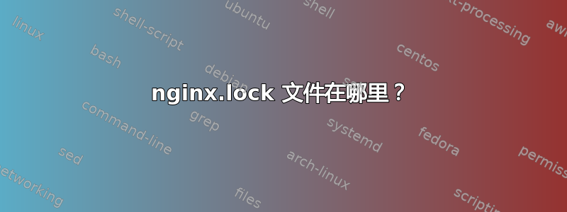 nginx.lock 文件在哪里？