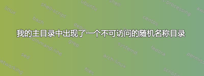 我的主目录中出现了一个不可访问的随机名称目录