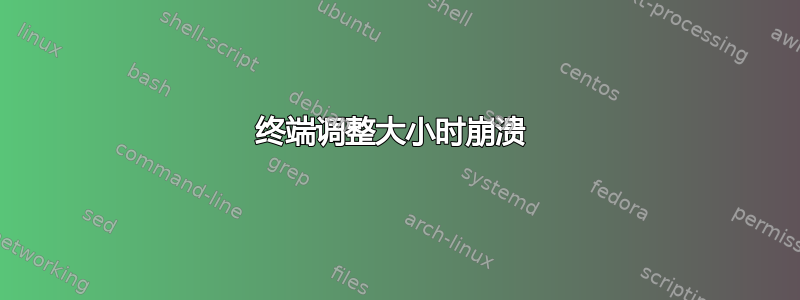 终端调整大小时崩溃 