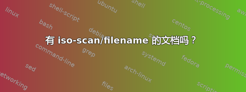 有 iso-scan/filename 的文档吗？