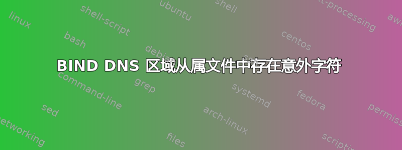 BIND DNS 区域从属文件中存在意外字符