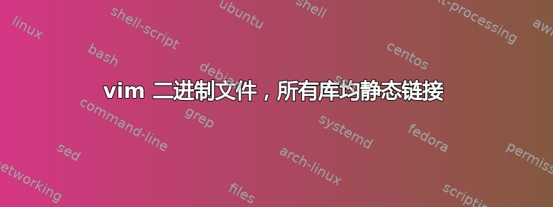 vim 二进制文件，所有库均静态链接