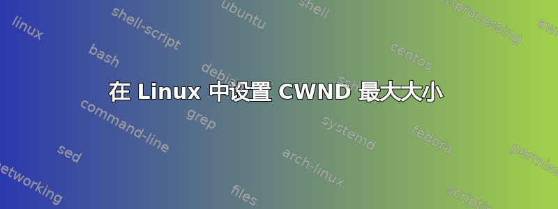 在 Linux 中设置 CWND 最大大小