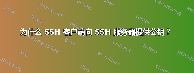 为什么 SSH 客户端向 SSH 服务器提供公钥？