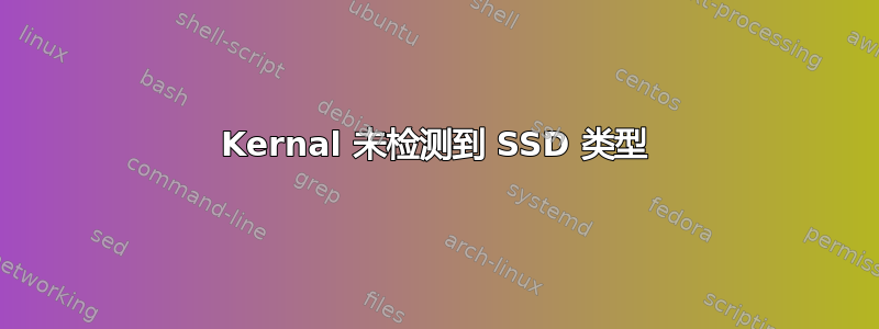 Kernal 未检测到 SSD 类型