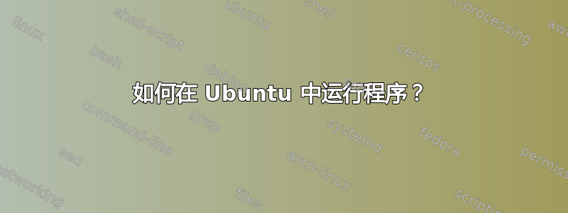 如何在 Ubuntu 中运行程序？