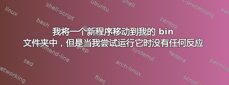 我将一个新程序移动到我的 bin 文件夹中，但是当我尝试运行它时没有任何反应